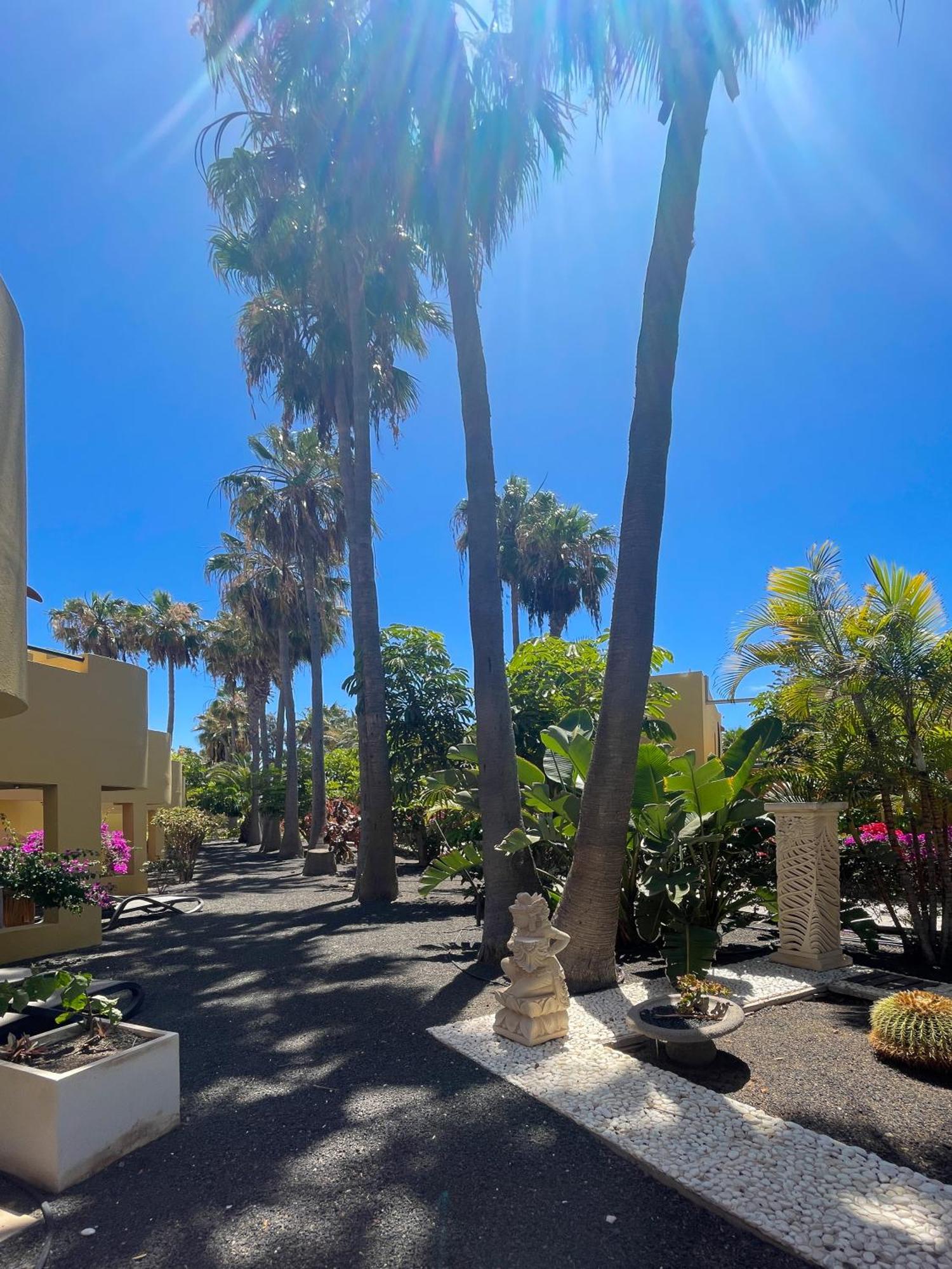 B-rent Atlantic Garden 181 Apartment Corralejo